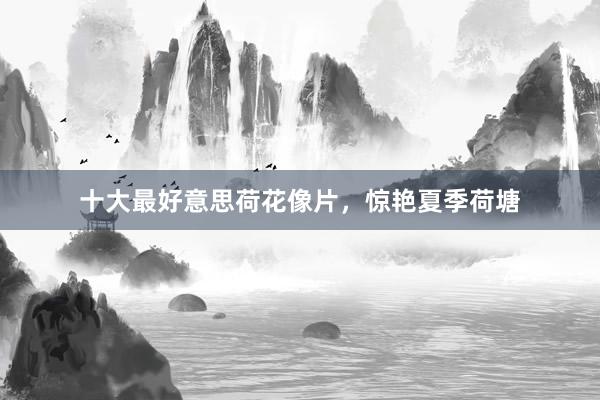 十大最好意思荷花像片，惊艳夏季荷塘