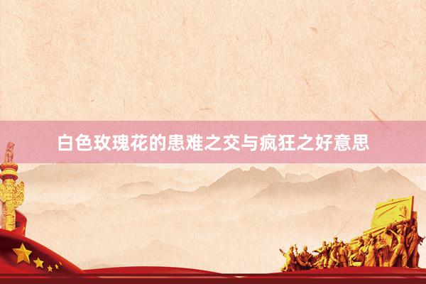 白色玫瑰花的患难之交与疯狂之好意思