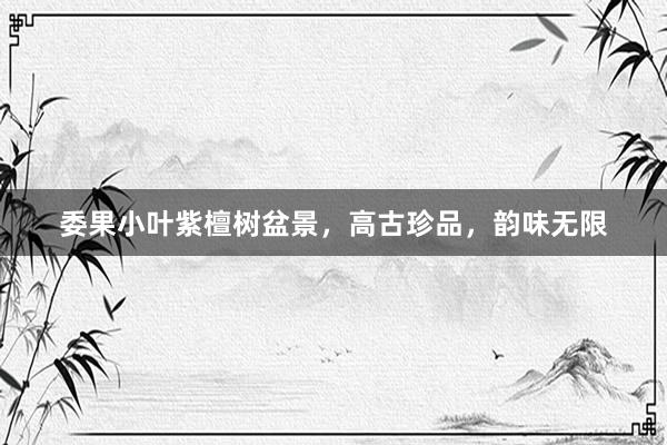 委果小叶紫檀树盆景，高古珍品，韵味无限