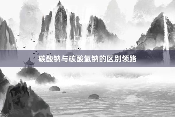 碳酸钠与碳酸氢钠的区别领路